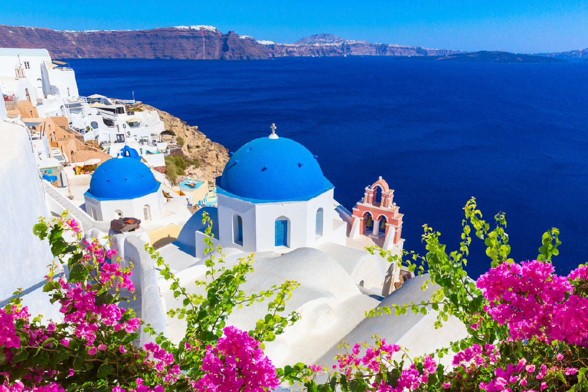 Pink Flowers in Santorini Greece Print 100% Australian Made