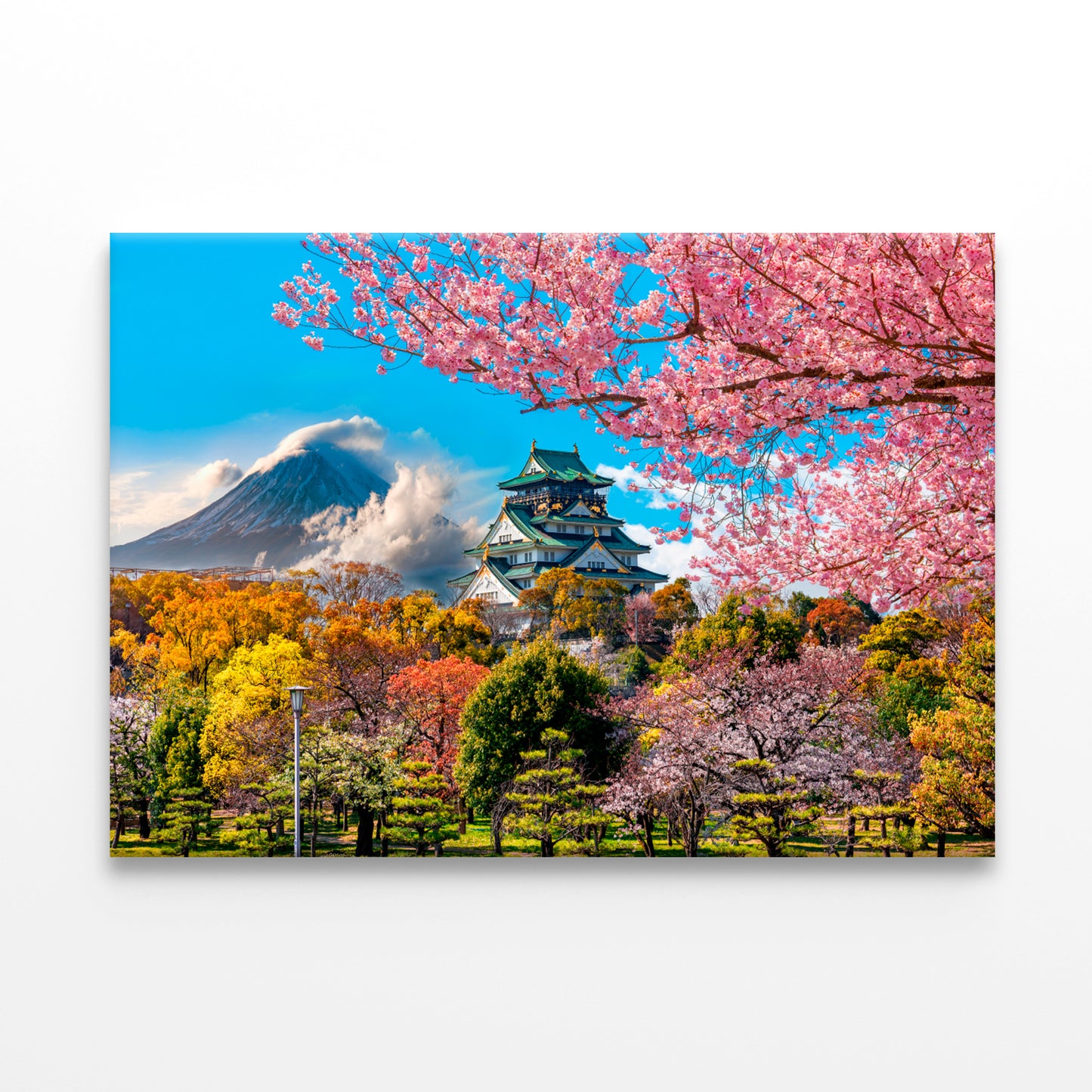 Osaka Castle & Cherry Blossom Wall Art Decor 100% Australian Made