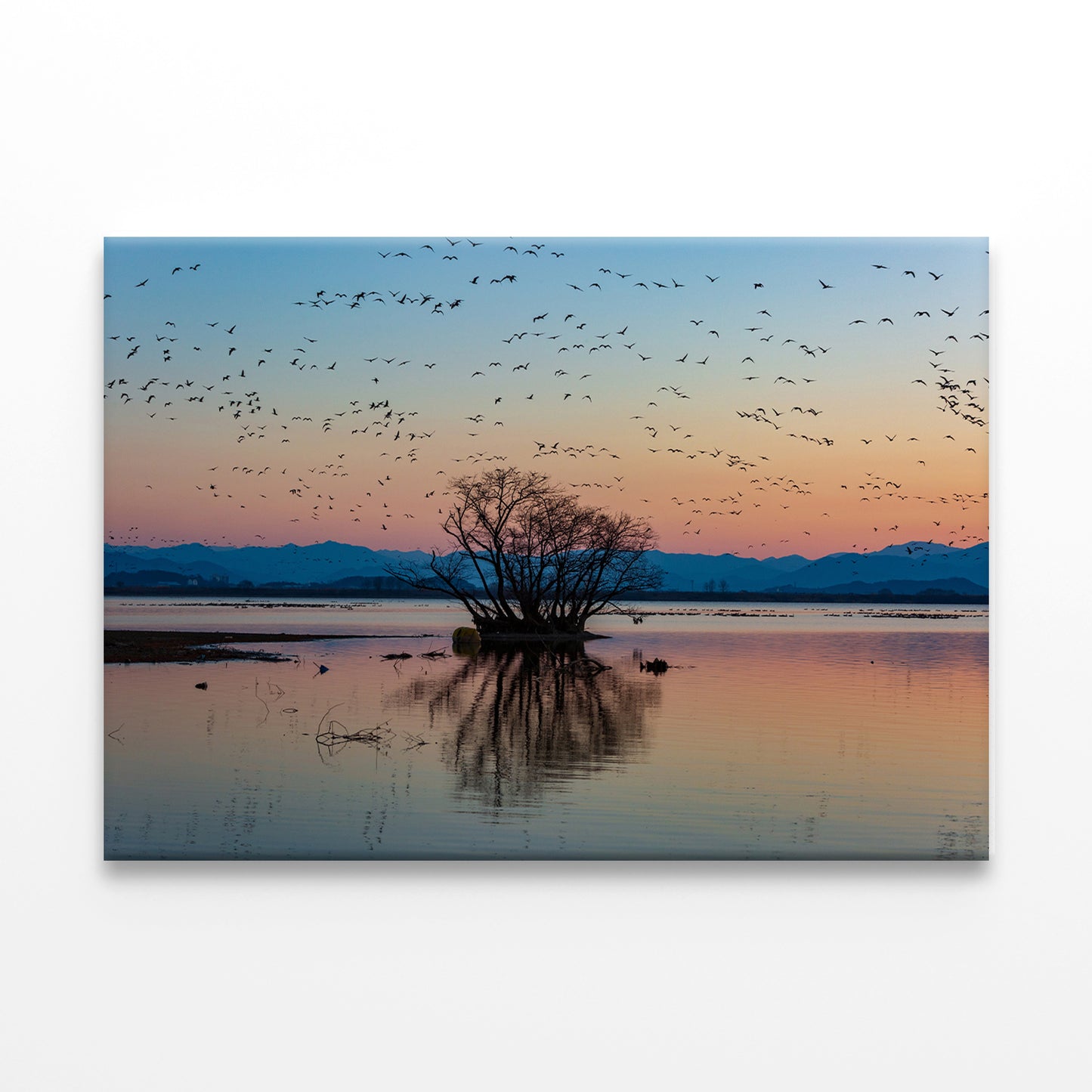 Winter Morning at Junam Reservoir, Korea Wall Art Decor 100% Australian Made