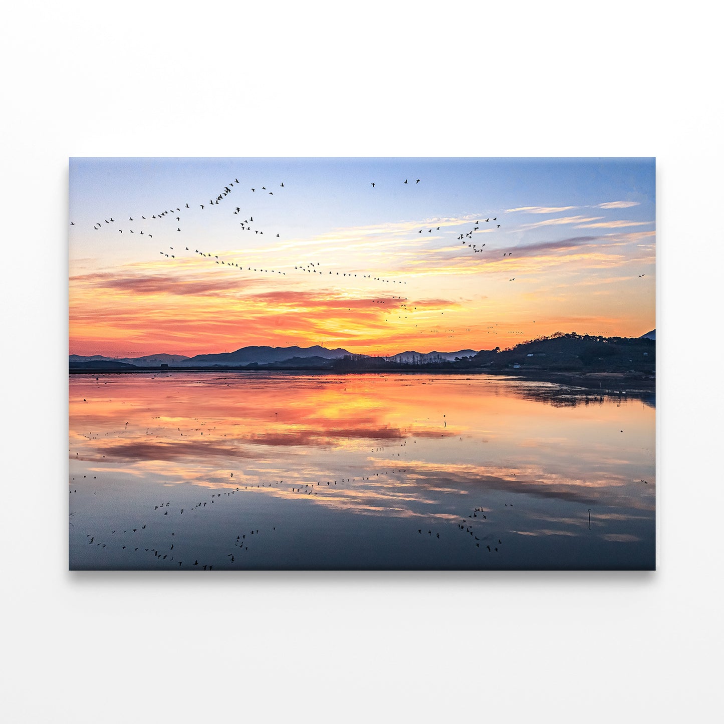 Winter Morning at Junam Reservoir Wall Art Decor 100% Australian Made