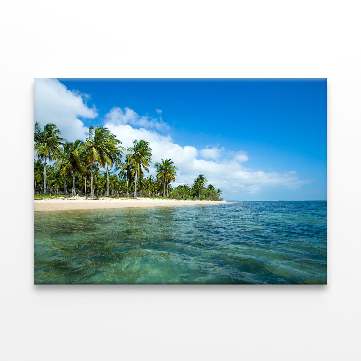 Tropical Beach in Sri Lanka Wall Art Decor 100% Australian Made