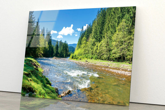 River among Spruce Forest Acrylic Glass Print Tempered Glass Wall Art 100% Made in Australia Ready to Hang