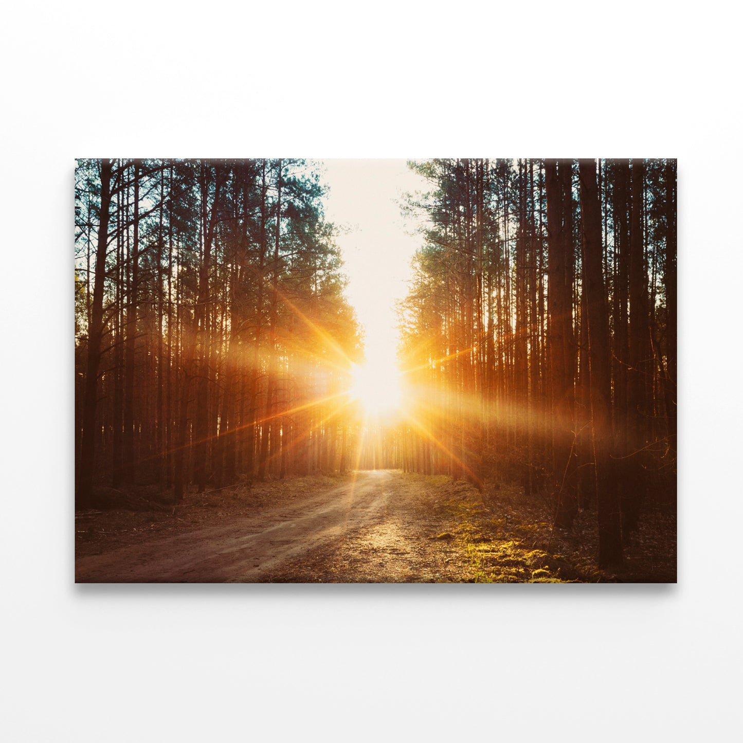 Forest Road Under Sunset Sunbeams Wall Art Decor 100% Australian Made