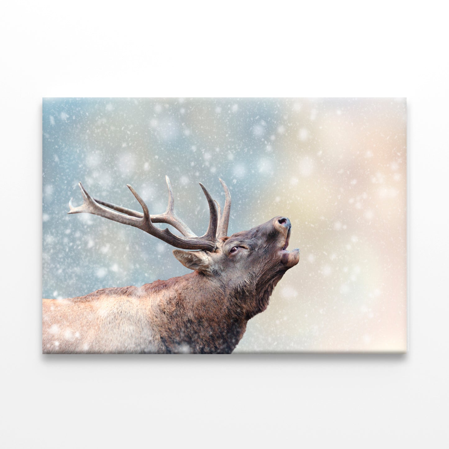 Deer in Snow Winter Wonderland Wall Art Decor 100% Australian Made