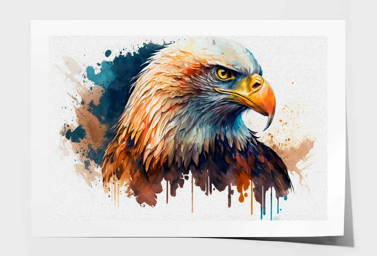 The American Bald Eagle, Head Wall Art Limited Edition High Quality Print Unframed Roll Canvas None