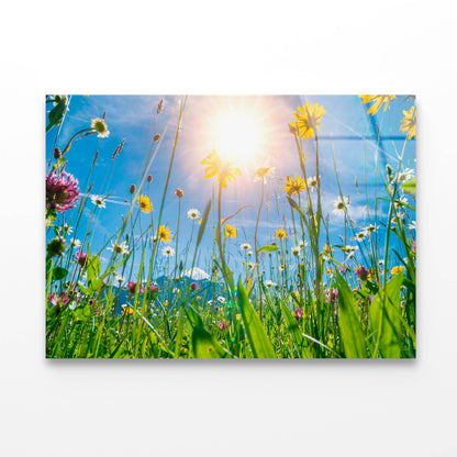 Beautiful Flowers in Meadow Acrylic Glass Print Tempered Glass Wall Art 100% Made in Australia Ready to Hang