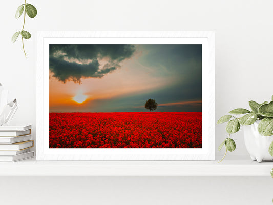 Red Field & Tree Spring Sunset Glass Framed Wall Art, Ready to Hang Quality Print With White Border White