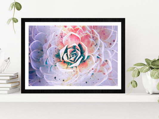 White Mexican Rose closeup Glass Framed Wall Art, Ready to Hang Quality Print With White Border Black