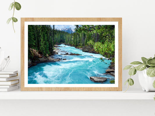 River In Evergreen Forest Glass Framed Wall Art, Ready to Hang Quality Print With White Border Oak