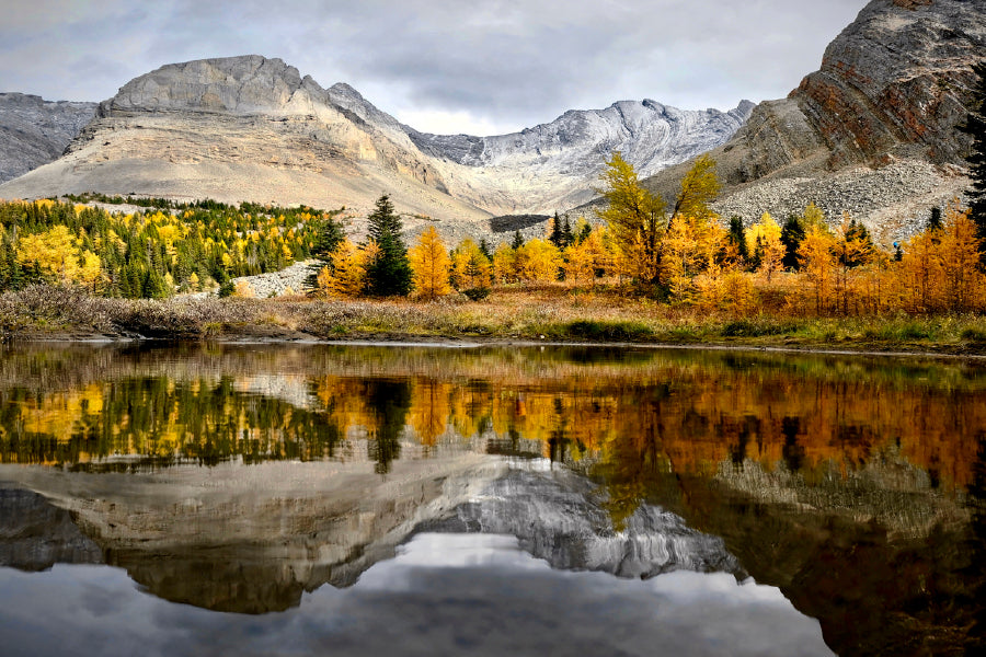 Autumn Forest In Canadian Rockies Glass Framed Wall Art, Ready to Hang Quality Print