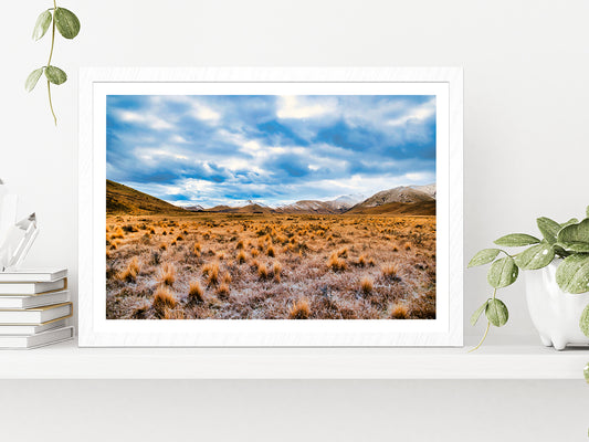 Frost Covered Tussock In Country Glass Framed Wall Art, Ready to Hang Quality Print With White Border White