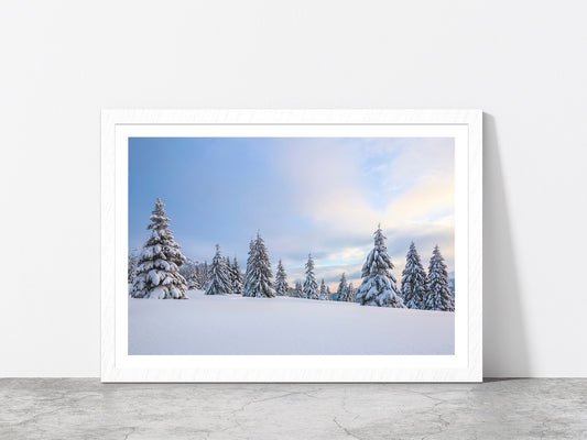 Meadow Covered With Frost Trees Glass Framed Wall Art, Ready to Hang Quality Print With White Border White