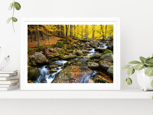 Autumn Forest With Rocky River Glass Framed Wall Art, Ready to Hang Quality Print With White Border White