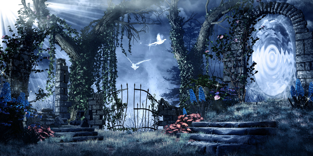 Mystic Fantasy Garden Gate Wall Art Canvas Office Home Room Framed 120x60cm