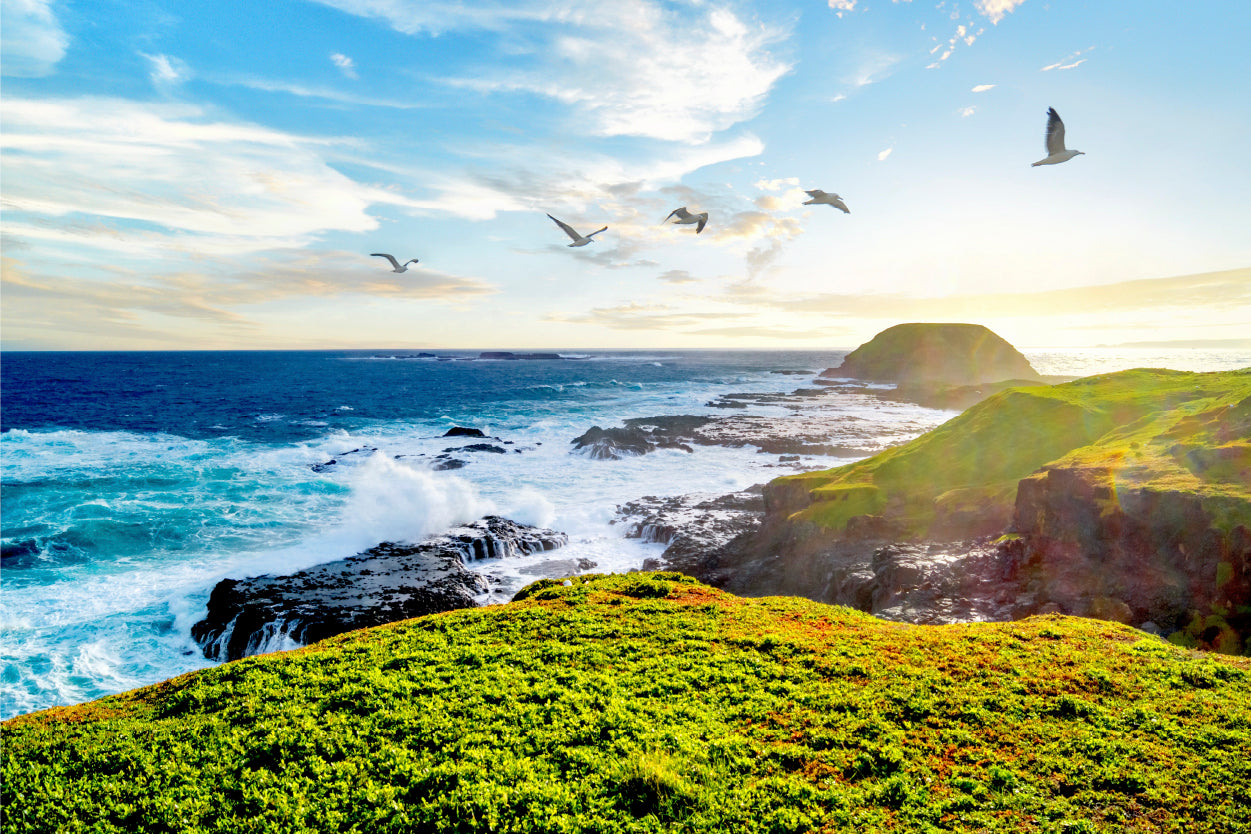 Philipp Island Nature Park Australia Wall Art Decor 100% Australian Made