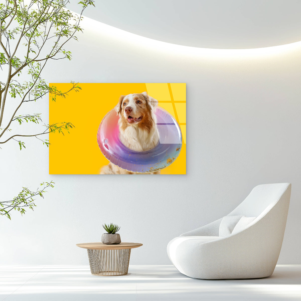 Aussie Shepherd Dog Pool Float Ring Acrylic Glass Printing Wall Art Australian Made Quality