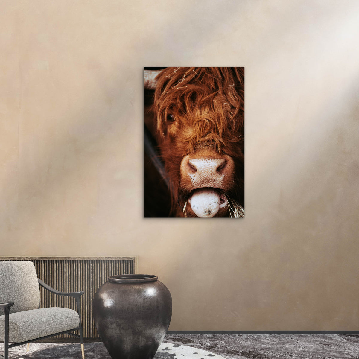 Close Up Photograph Of A Scottish Highland Cow 40x60cm Metal Print Ready to Hang
