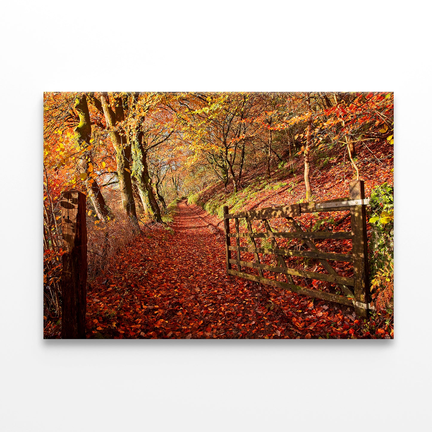 Autumn Hues in Gwaun Valley Wales Wall Art Decor 100% Australian Made