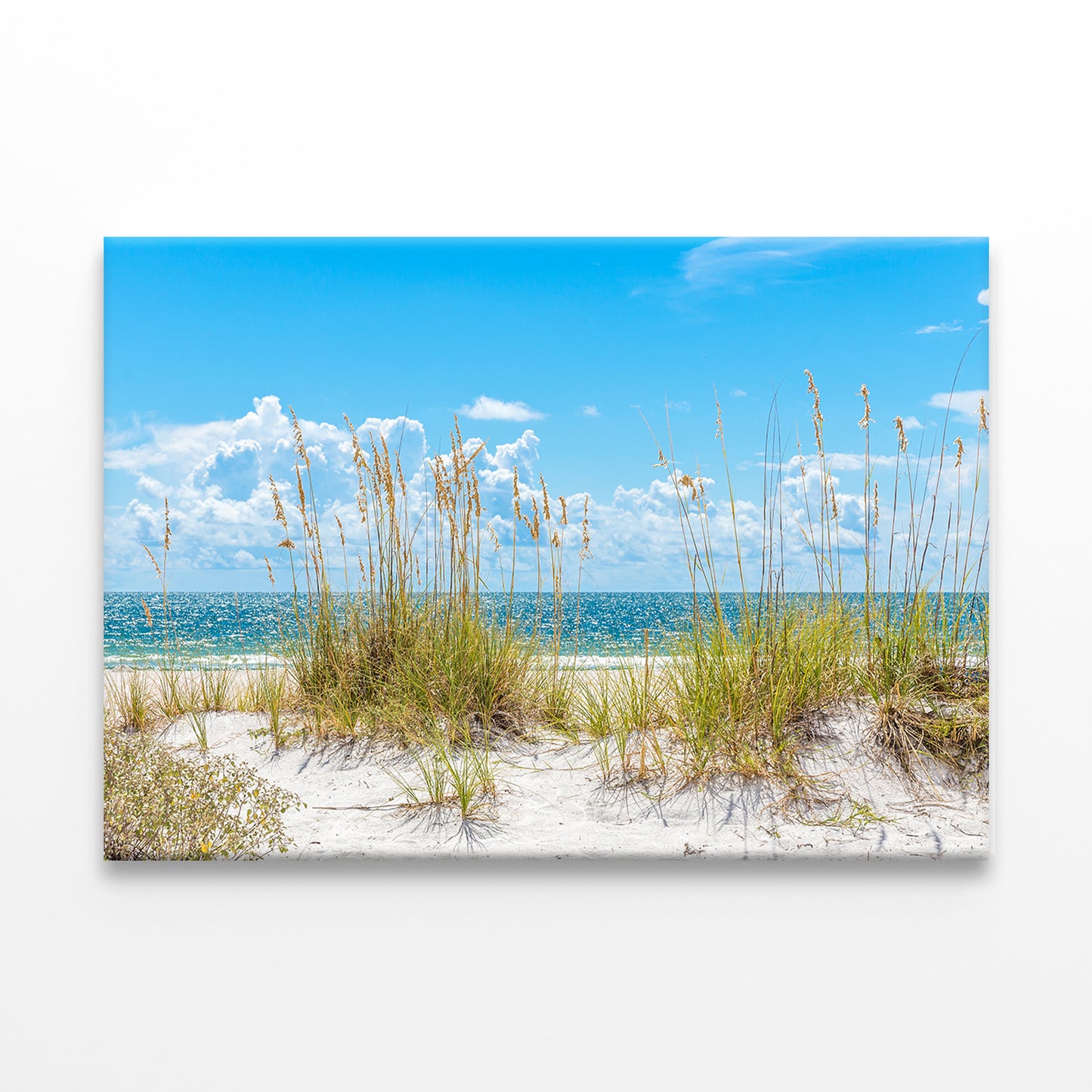 Sunny St Pete Beach with Sand Dunes Wall Art Decor 100% Australian Made