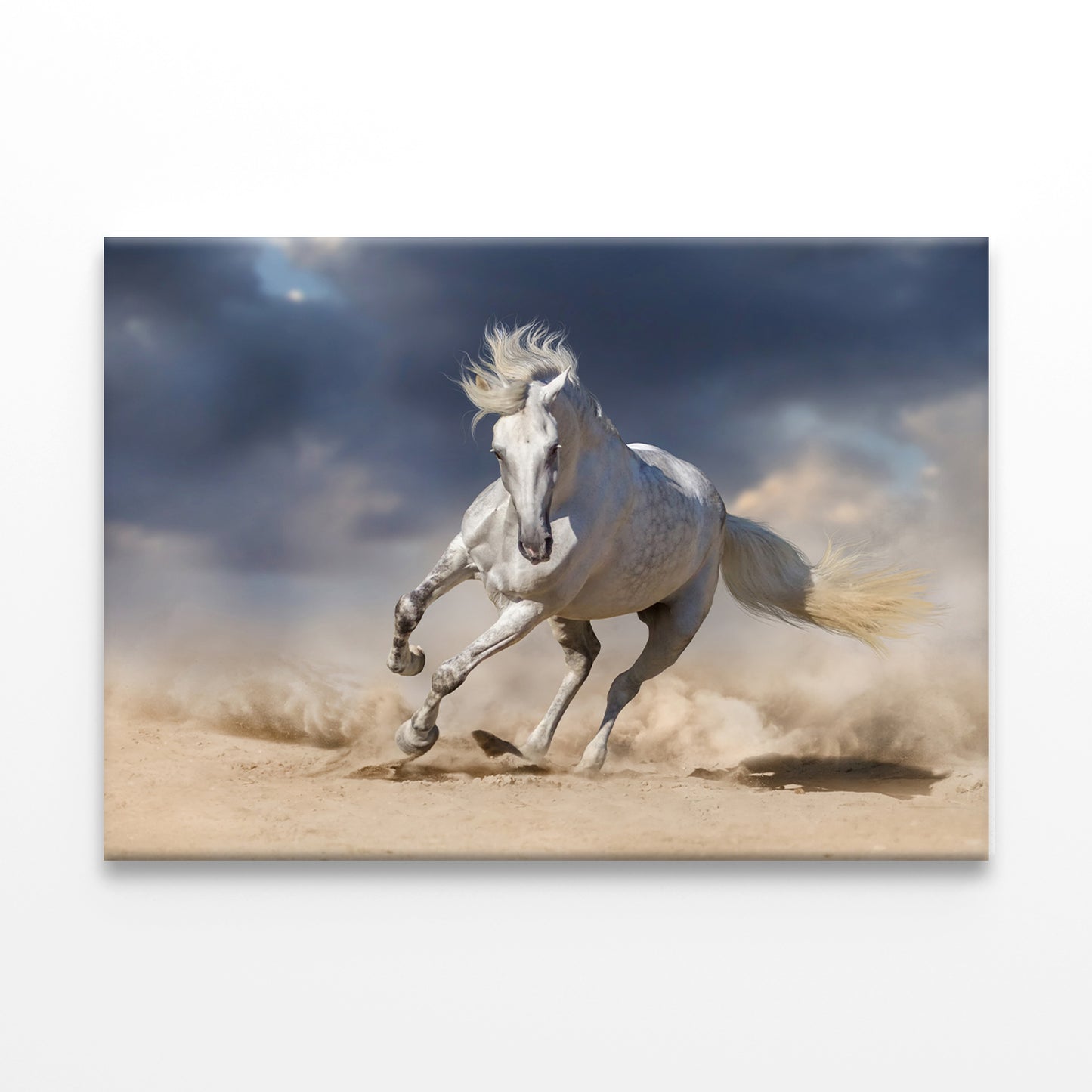 White horse running in desert sky Wall Art Decor 100% Australian Made
