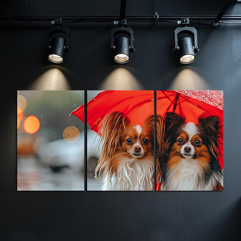 3pcs Two cute papillon dogs Wall Art Set Canvas Framed 60x90cm - High Quality Print 100% Australian Made Wall Canvas Ready to Hang