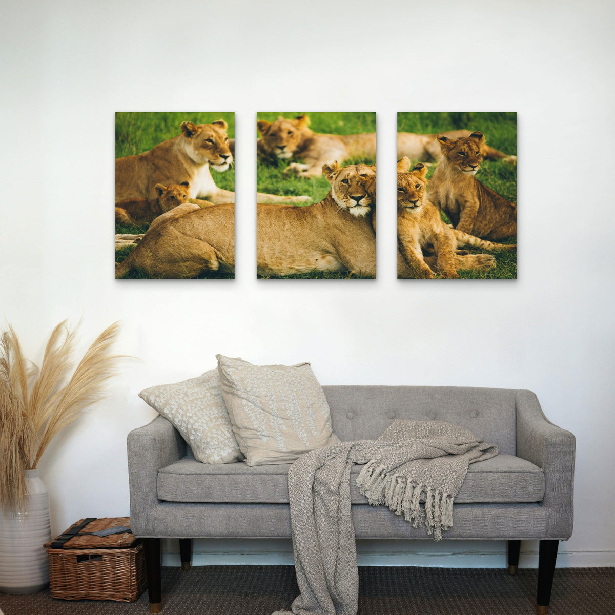 3pcs Safari Lions Family Grass Nature Cubs Wall Art Set Canvas Framed 50x70cm - High Quality Print 100% Australian Made Wall Canvas Ready to Hang