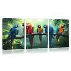 3pcs Cute Parrots on the Branch Greenery Forest Wall Art Set Canvas Framed 40x60cm - High Quality Print 100% Australian Made Wall Canvas Ready to Hang