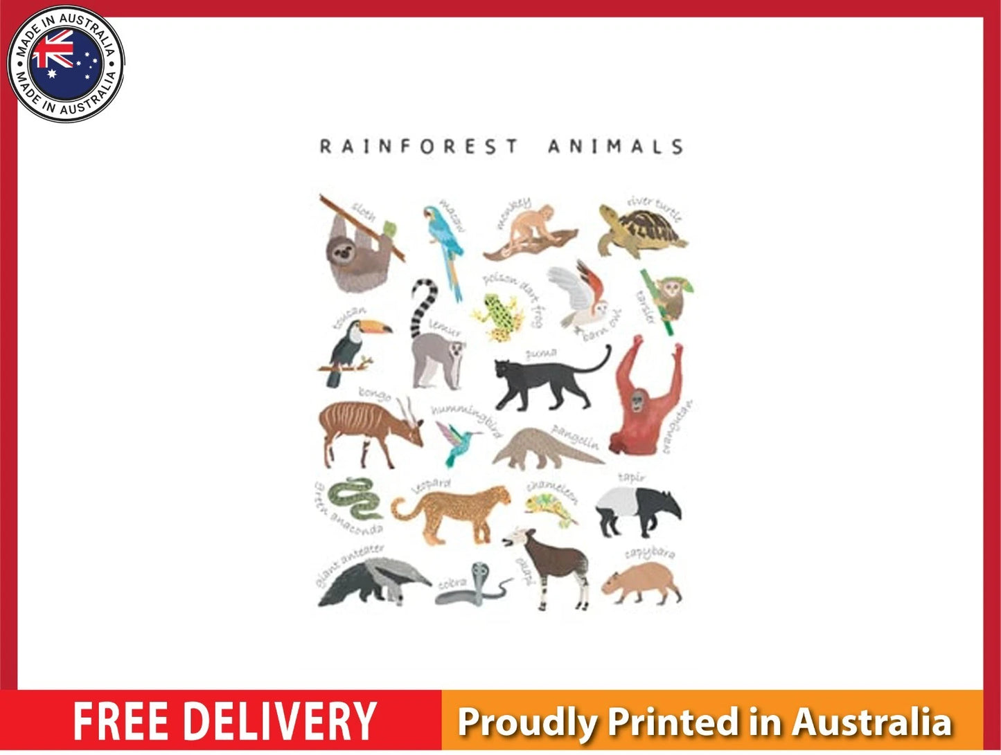 NEW (LAMINATED) Rainforest Animals (61X91CM) Educational CHART PICTURE PRINT