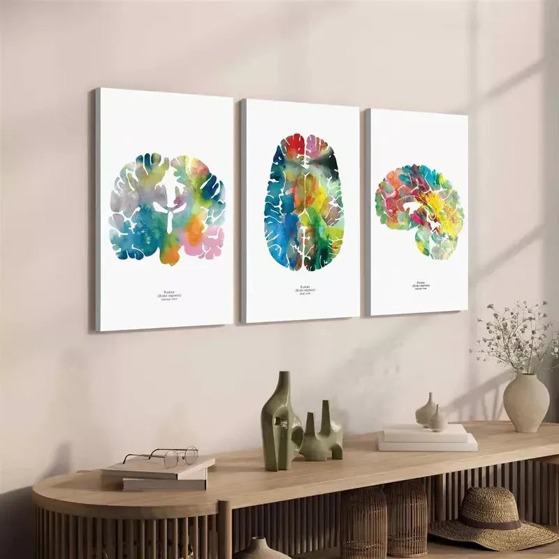 3pcs Neurology & Psychology Canvas Framed 40x60cm - High Quality Print 100% Australian Made Wall Canvas Ready to Hang