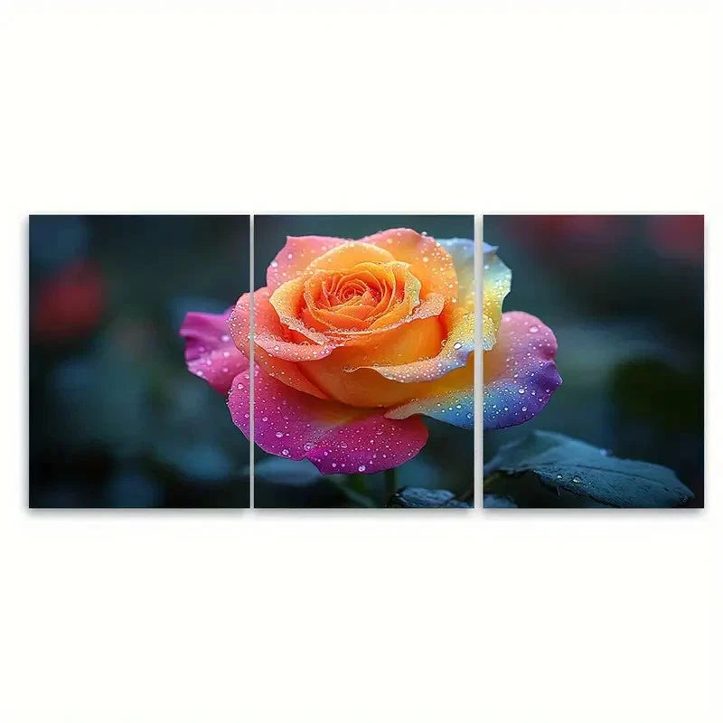 3pcs Vibrant Rainbow Rose Macro Photography Wall Art Set Canvas Framed 40x60cm - High Quality Print 100% Australian Made Wall Canvas Ready to Hang