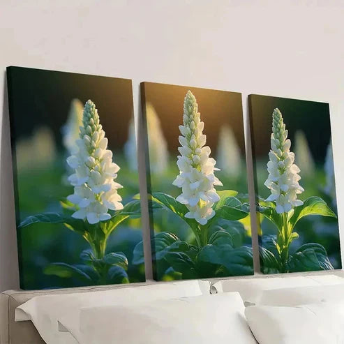 3pcs White Basil Flower Canvas Print SR Wall Art Set Canvas Unframed - High Quality Print 100% Australian Made Wall Canvas - Bella Home Decor