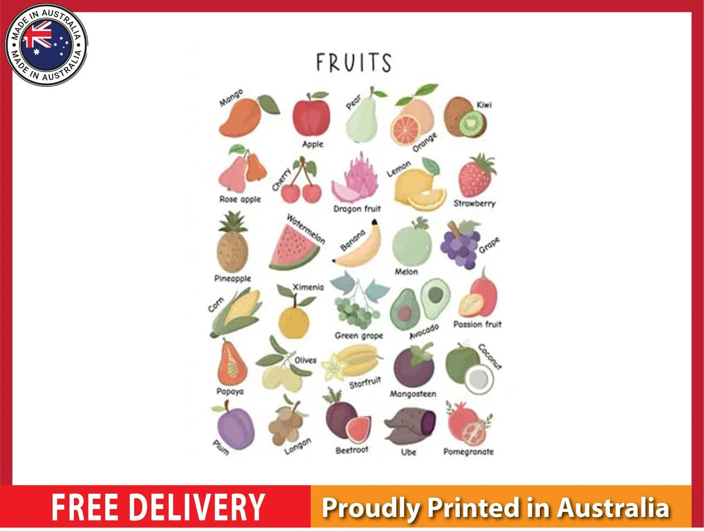 NEW (LAMINATED) Fruits (61X91CM) Educational CHART PICTURE PRINT