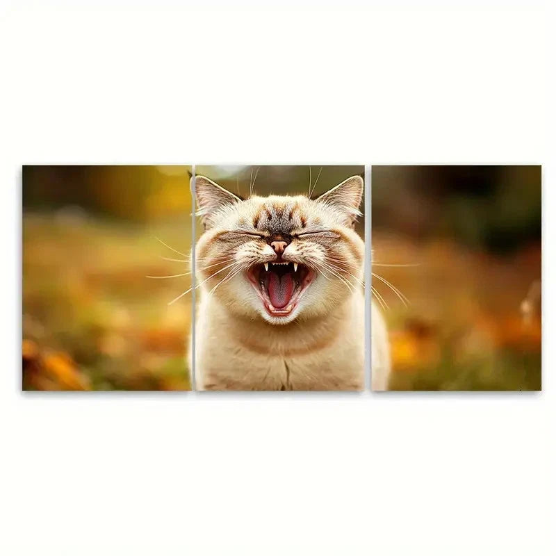 3pcs Cute Cat Yawning Illustration Wall Art Set Canvas Framed 50x70cm - High Quality Print 100% Australian Made Wall Canvas Ready to Hang