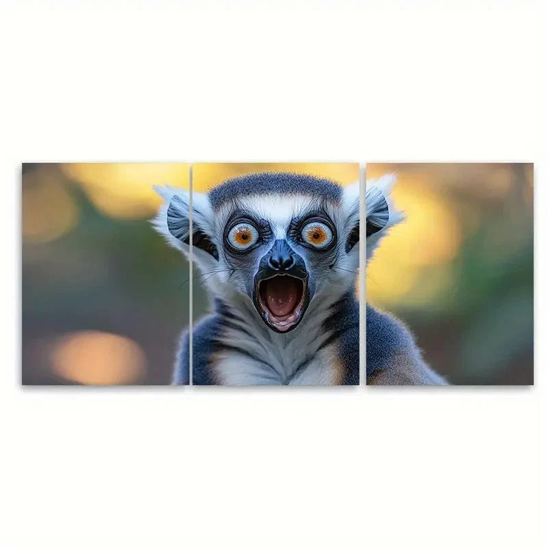 3pcs Shocked Ring Tailed Lemur Quirky Wildlife Wall Art Set Canvas Framed 60x90cm - High Quality Print 100% Australian Made Wall Canvas Ready to Hang