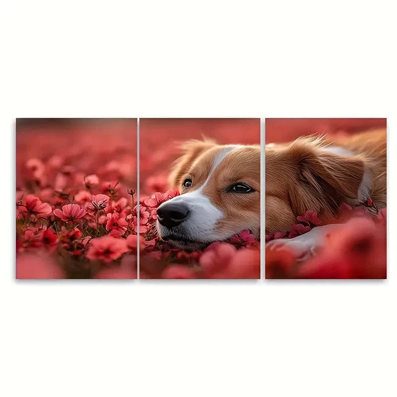 3pcs Australian Shepherd Dog Wall Art Set Canvas Framed 50x70cm - High Quality Print 100% Australian Made Wall Canvas Ready to Hang