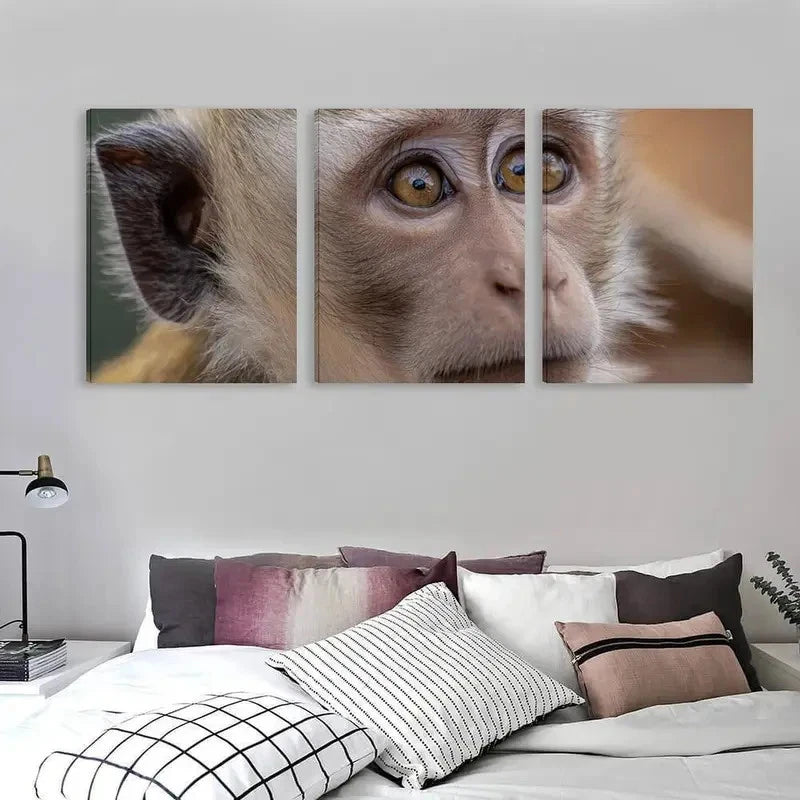 3pcs The Intense Stare Of The Monkey Wall Art Set Canvas Framed 60x90cm - High Quality Print 100% Australian Made Wall Canvas Ready to Hang