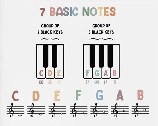 NEW (LAMINATED) 7 BASIC NOTES (61X91CM) EDUCATIONAL CHART PICTURE PRINT