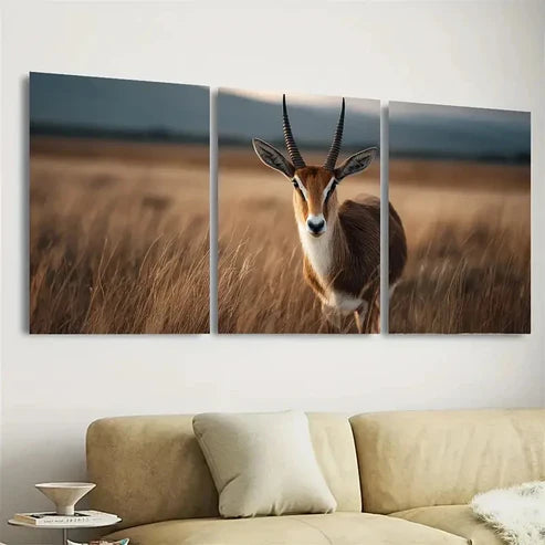 3pcs Farm Style, Ekand Antelope Wall Art Canvas Unframed - High Quality Print 100% Australian Made Wall Canvas