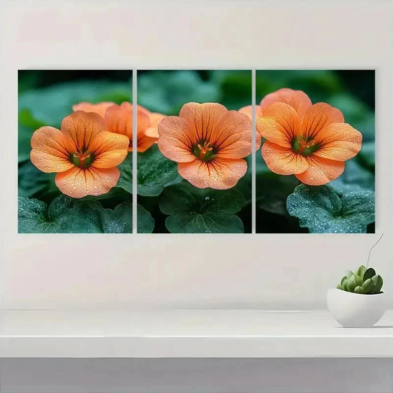 3pcs Vibrant Orange Nasturtium Flower Perfect Wall Art Set Canvas Framed 40x60cm - High Quality Print 100% Australian Made Wall Canvas Ready to Hang