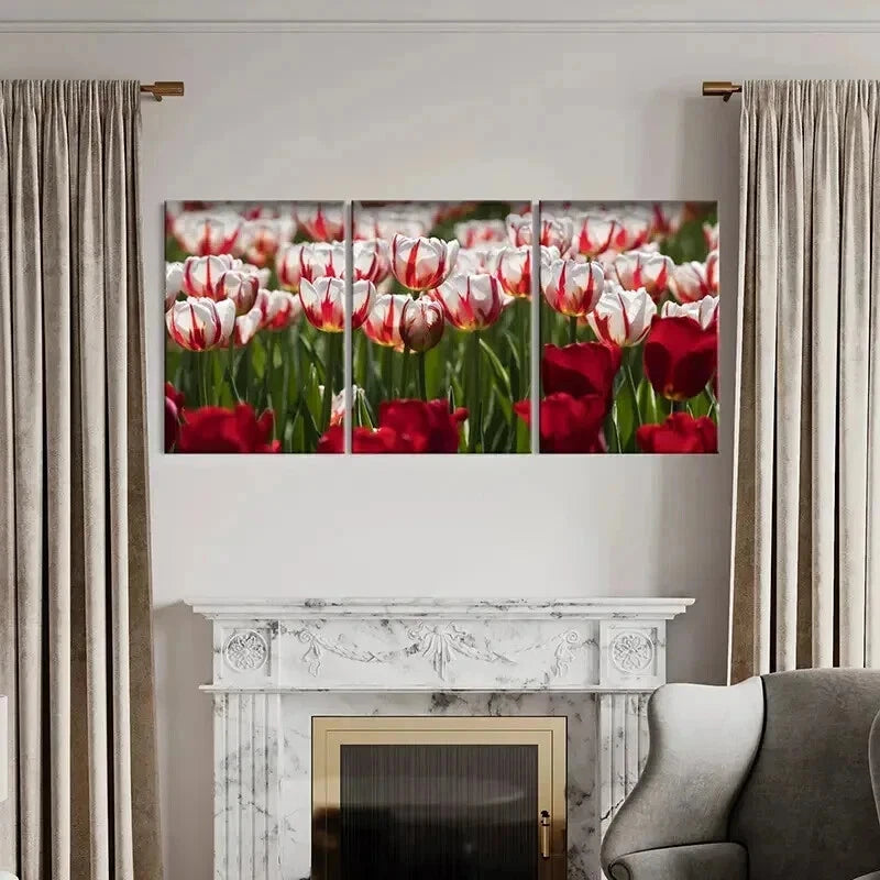 3pcs Flower Art Roses Modern Wall Art Set Canvas Framed 40x60cm - High Quality Print 100% Australian Made Wall Canvas Ready to Hang