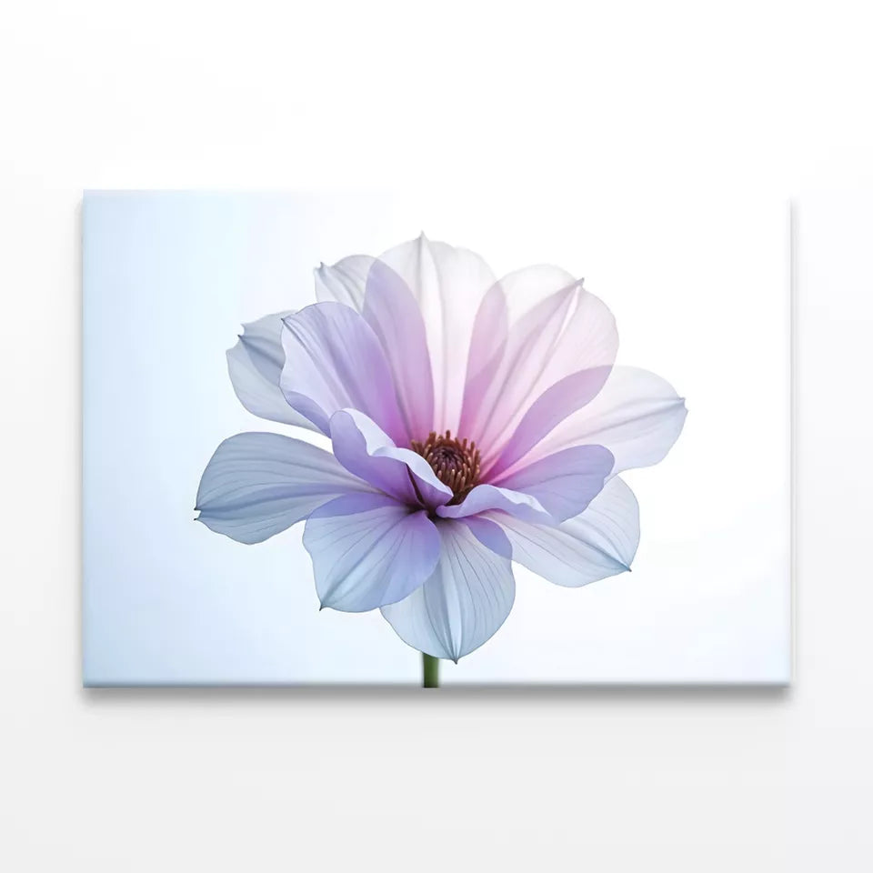 Colorful Abstract Flowers Wall Art Decor 100% Australian Made