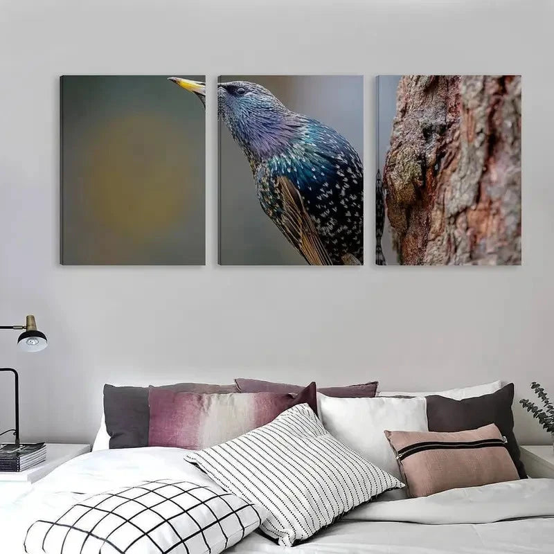 3pcs Sturnus vulgaris photo of a starling Wall Art Set Canvas Framed 60x90cm - High Quality Print 100% Australian Made Wall Canvas Ready to Hang