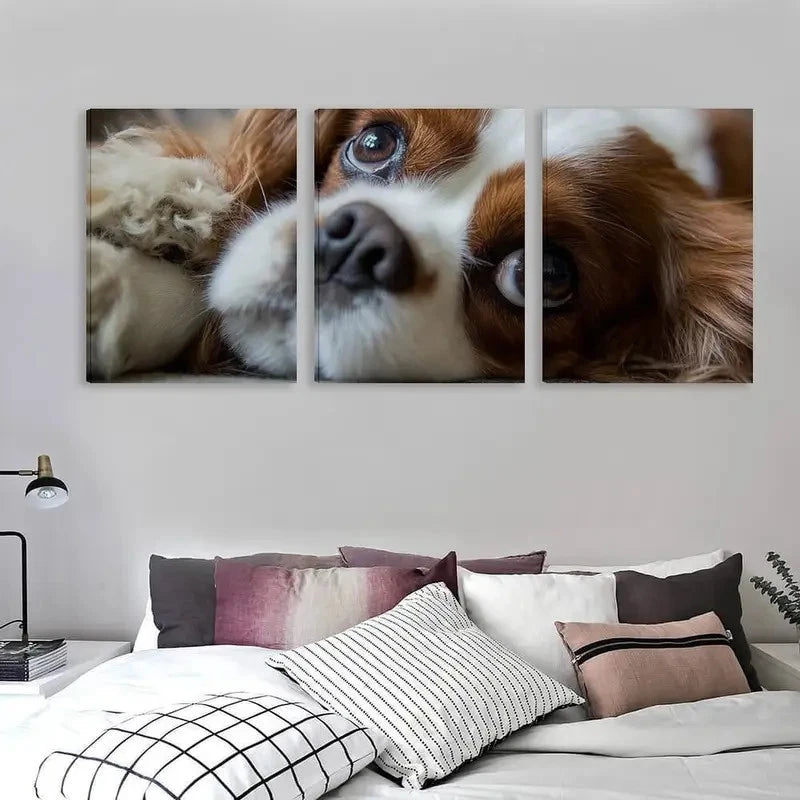 3pcs Cavalier King Charles Spaniel Dog Wall Art Set Canvas Framed 60x90cm - High Quality Print 100% Australian Made Wall Canvas Ready to Hang