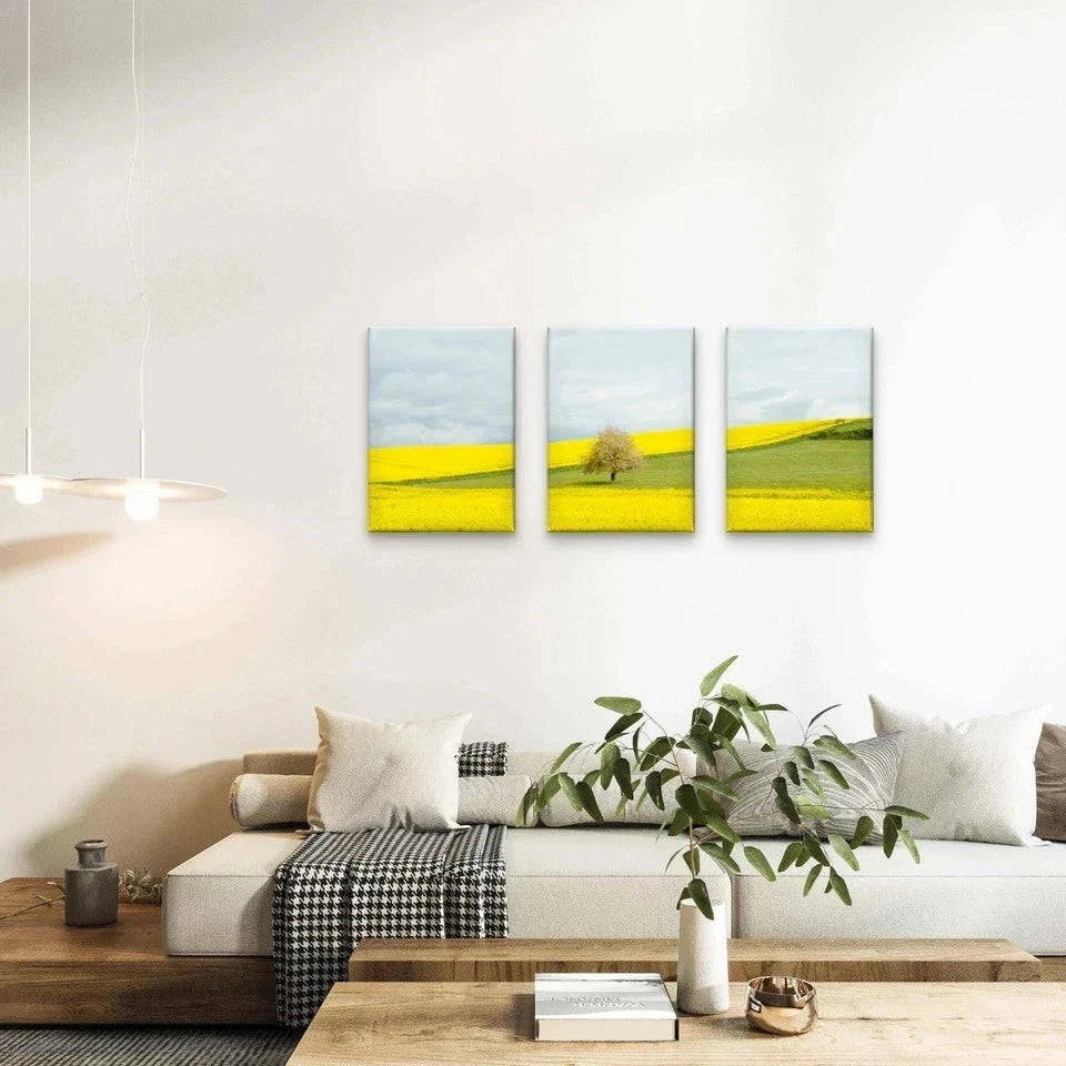 3pcs Yellow Countryside Field Collage Wall Art Set Canvas Framed 50x70cm - High Quality Print 100% Australian Made Wall Canvas Ready to Hang