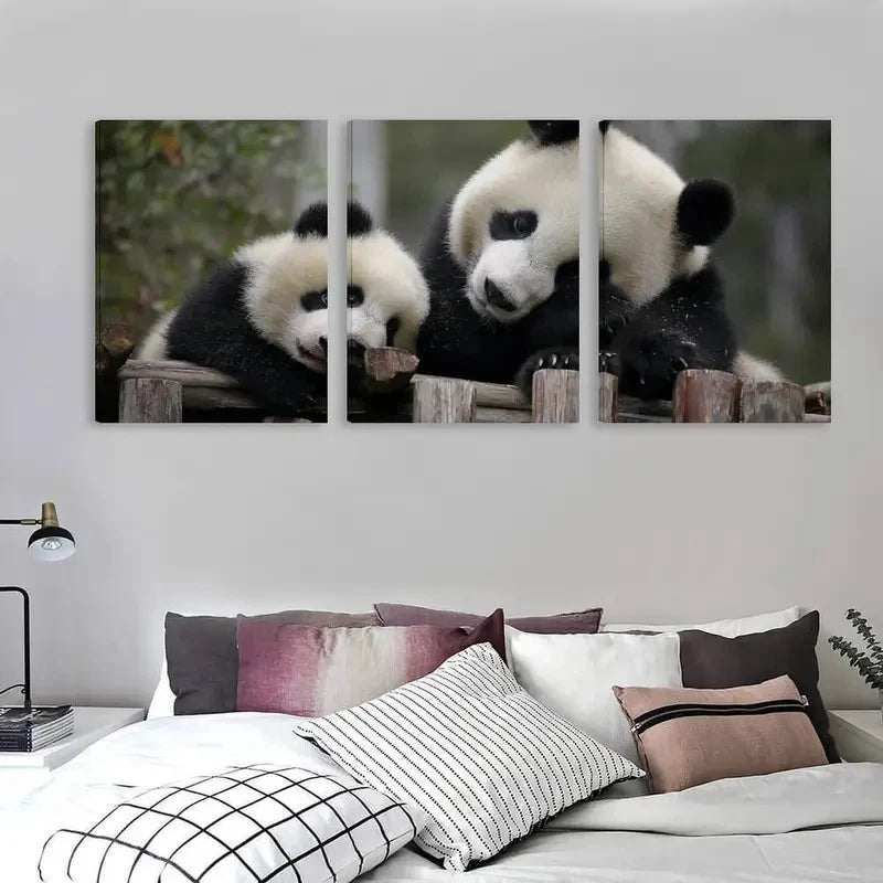 3pcs A Mother Panda and Her Cub Play Wall Art Set Canvas Framed 60x90cm - High Quality Print 100% Australian Made Wall Canvas Ready to Hang