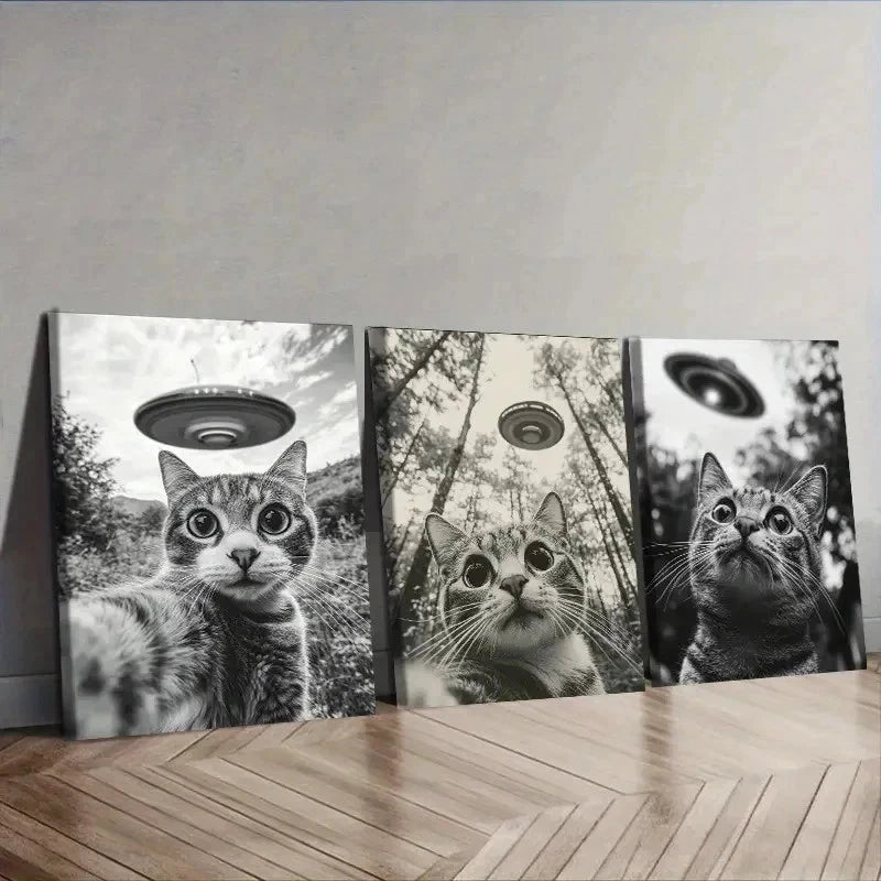 3pcs Cat Capturing a Selfie with a UFO Wall Art Set Canvas Framed 40x60cm - High Quality Print 100% Australian Made Wall Canvas Ready to Hang