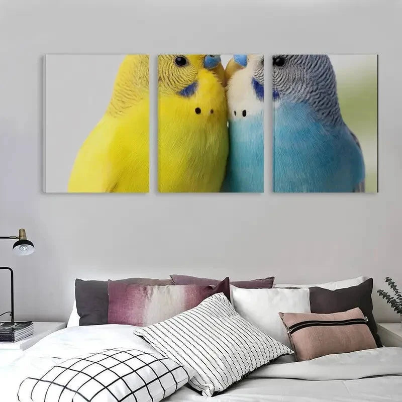 3pcs Two colorful Budgerigars against a white Wall Art Set Canvas Framed 40x60cm - High Quality Print 100% Australian Made Wall Canvas Ready to Hang
