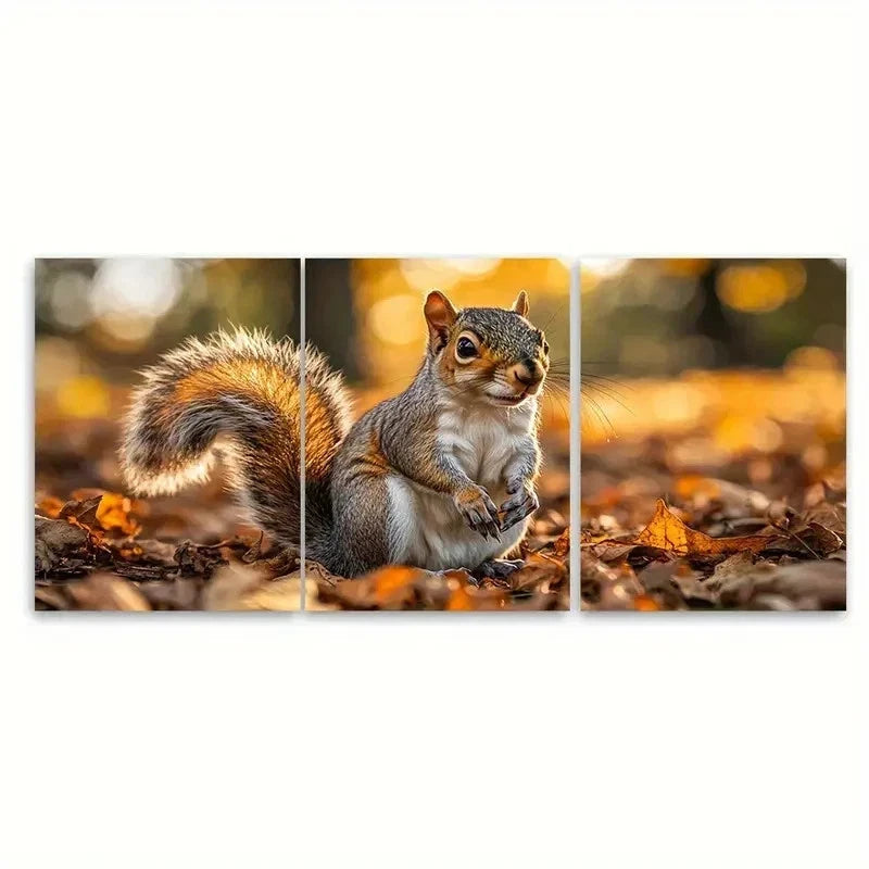 3pcs Cute Squirrel Print S Wall Art Set Canvas Framed 50x70cm - High Quality Print 100% Australian Made Wall Canvas Ready to Hang