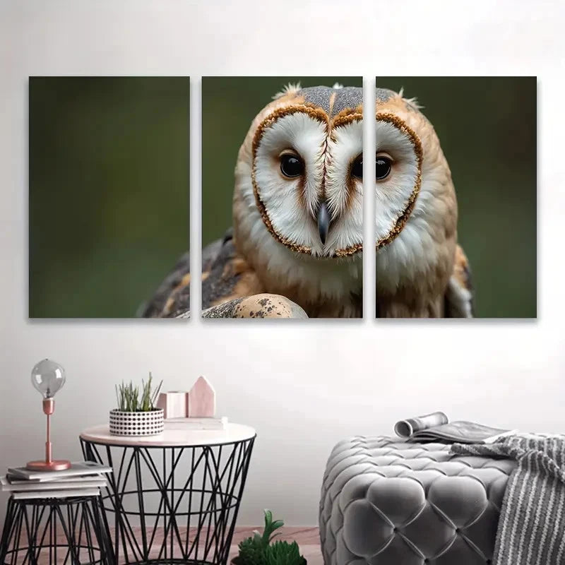 3pcs Owl Close-Up Spray Paint Vertical Decor Wall Art Set Canvas Framed 40x60cm - High Quality Print 100% Australian Made Wall Canvas Ready to Hang