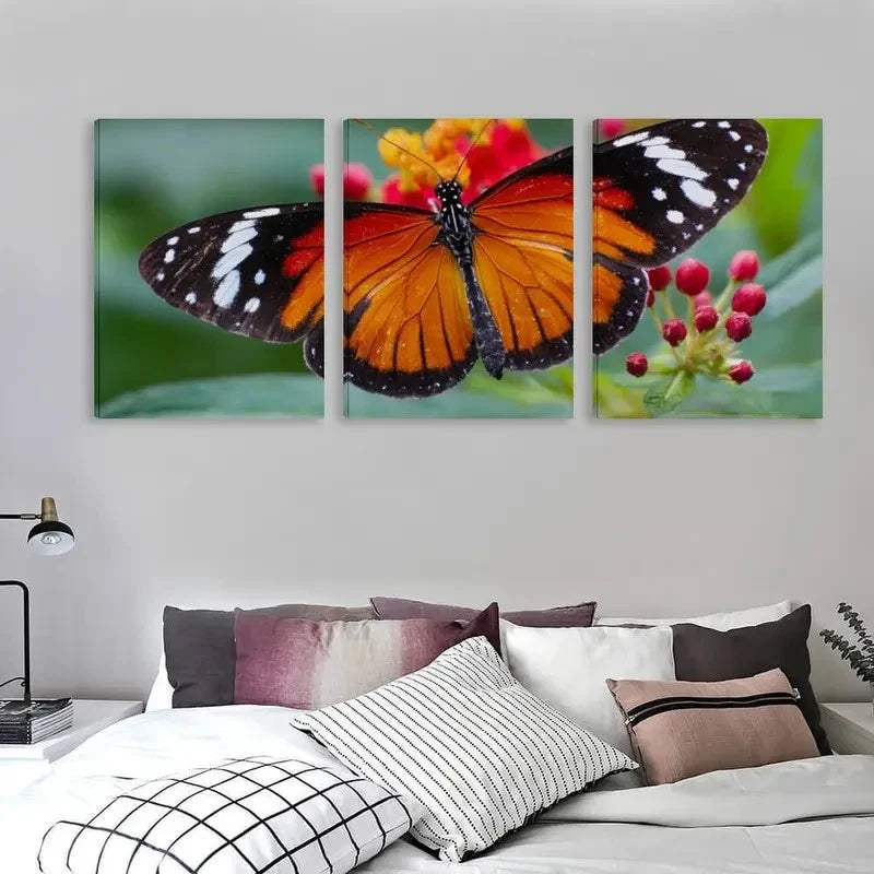 3pcs Danaus chrysippus Butterfly Decor Wall Art Set Canvas Framed 60x90cm - High Quality Print 100% Australian Made Wall Canvas Ready to Hang
